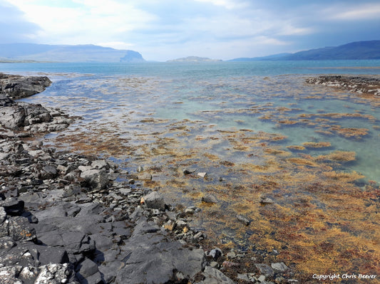 Loch na Keal Isle of Mull Scotland UK Landscape wall art and home office décor by Wigan UK Landscape Artist and Photographer Christopher Beever Available as a S to XXXL Canvas, poster, aluminium, wooden, Acrylic, framed, print and other wall art or as a Cushion, sofa throw or blanket in the Eager Beever Printing Shop. 