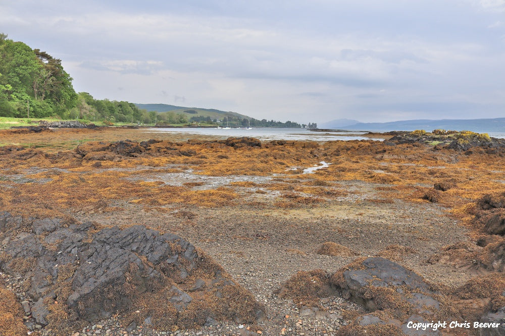 Salen Isle of Mull Scotland UK Landscape wall art and home office décor by Wigan UK Landscape Artist and Photographer Christopher Beever Available as a S to XXXL Canvas, poster, aluminium, wooden, Acrylic, framed, print and other wall art or as a Cushion, sofa throw or blanket in the Eager Beever Printing Shop. 