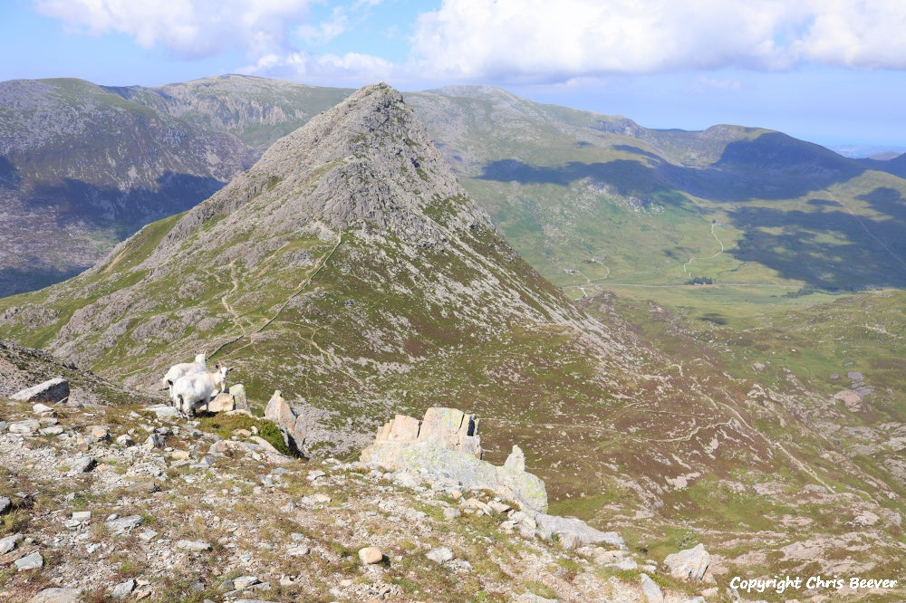 Tryfan Glyder Fach & Fawr Snowdonia Wales UK Landscape art and home office décor by UK Landscape Artist and Photographer Christopher Beever Available as a S to XXXL Canvas, poster, aluminium, wooden, Acrylic, framed, print and other wall art or as a Cushion, sofa throw or blanket in the Eager Beever Printing Shop. 